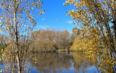 Mittwoch 25.03. – Augenblicke im Marburger Land