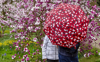 Mittwoch 18.03. – „Lieblingsbilder“