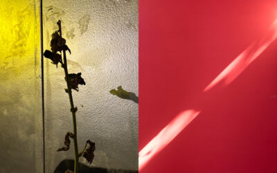 Sonntag 29.03. – Lichte Zeiten